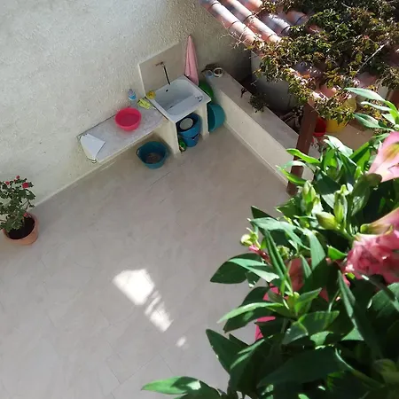 Brezza Marina Apartment *
