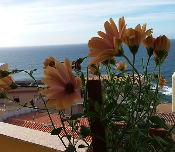 Brezza Marina & L'Oasi Blu Apartment